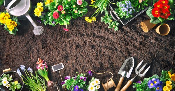 Image for event: Spring Gardening Tips 